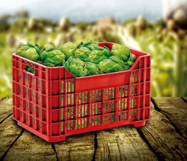 CAJA COSECHERA CALADA ROBUSTA PREMIUN X 24 UND - Plasticos Rey